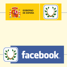 Spanish Government // Online. Advertising project by Andrea Aguilar Jiménez - 08.25.2011