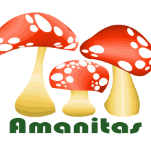 Amanitas Store. Design, Traditional illustration, and Photograph project by Laura Sardi - 08.30.2011