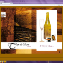 Website . Design, and Programming project by Acuarela Design - 09.04.2011