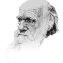Darwin Portrait. Design, Traditional illustration, and Advertising project by Darwin - 09.05.2011