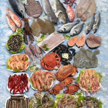 Alimentación, bodegones. Photograph project by Iñaki Caperochipi Azpiazu - 10.27.2011