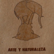 catálogo exposición ARTE Y NATURALEZA. Un proyecto de Diseño, Ilustración y Fotografía de lara peces ruisánchez - 20.11.2011