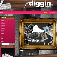 Diggin Online Shop. Un proyecto de Diseño, Ilustración tradicional, Programación, Cine, vídeo y televisión de Ana Cabo - 29.12.2011