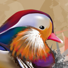 Ducks. Un proyecto de Diseño e Ilustración tradicional de Aitor Gonzalez Perkaz - 25.01.2012