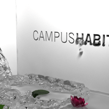 Campus Habitat 5U. Un proyecto de Diseño, Programación y 3D de Insignia Studio - 26.01.2012