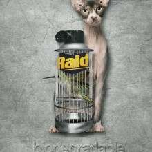 Raid biodegradable. Publicidade projeto de pandorco - 03.02.2012
