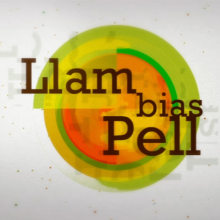 Demo Reel. Motion Graphics, Film, Video, and TV project by Llambias Pell - 02.27.2012
