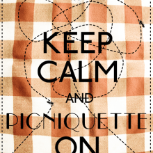PICNIQUETTE. Design, Traditional illustration, Advertising, and Photograph project by Iaia Cocoi - 03.21.2012