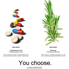 You choose. Advertising project by José Estévez - 04.23.2012