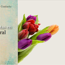Adornos florales. Web Design, e Desenvolvimento Web projeto de Alba Junyent Prat - 26.04.2012