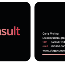 Durga Consult imatge. Design, and Advertising project by Carla Molina - 04.28.2012
