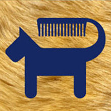 El perro acicalado. Un proyecto de Diseño de El diseñador gráfico que encaja las piezas - 10.05.2012