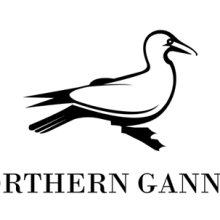 Northern Gannet. Design project by Sara Pérez - 05.21.2012