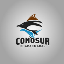 ConoSur_LOGO. Design, and Traditional illustration project by Pedro Inchauspe - 06.25.2012