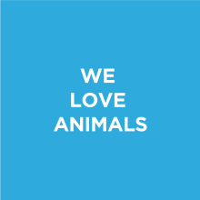 We Love Animals. Design, and Traditional illustration project by Sandra Guerrero - 07.17.2012