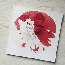 Herbario. Tipografía experimental. Design, and Traditional illustration project by Haizea Nájera - 07.23.2012