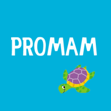 PROMAM. Advertising project by Sandra Castillo G. - 05.10.2012