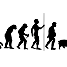 Men-evolution. Un proyecto de Diseño e Ilustración tradicional de Elena Bellido - 14.09.2012