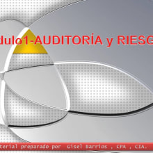 CIA,CPA. Design, Traditional illustration, Advertising, Motion Graphics & IT project by Adriana Rodríguez - 09.21.2012