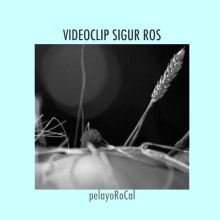 VIDEOCLIP SIGUR ROS. Un proyecto de Diseño, Fotografía, Cine, vídeo y televisión de Pelayo RoCal - 26.09.2012