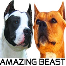 Amazing Beast. Design projeto de Antonio Moreno Barba - 21.05.2012