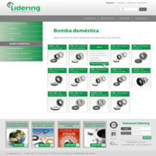 Lidering (2012). Design, Advertising & IT project by Juan Andrés Moreno Rubio - 10.22.2012