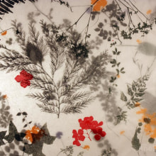 Serigrafía con flores. Un proyecto de  de Ane Baztarrika - 20.11.2012