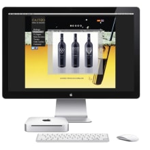 Digital y multimedia (varios). Design, Advertising, UX / UI & IT project by Carolina Rojas Vilos - 12.27.2012