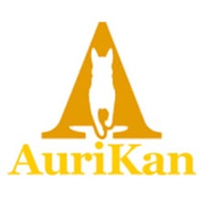 Aurikan. Un proyecto de Diseño y Publicidad de Néstor Gómez - 18.01.2013
