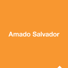 Amado Salvador. Design, and UX / UI project by Aditiva Design - 04.03.2013