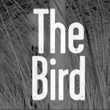 The bird. Design, Music, Motion Graphics, Film, Video, TV, UX / UI, and 3D project by Rafa Cabrera Jiménez - 04.18.2013