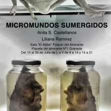 Micromundos sumergidos. Un proyecto de Instalaciones de Anita S. Castellanos - 18.04.2013
