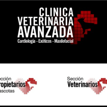 Clínica Veterinaria Avanzada. Programming project by Daniel F. R. Gordillo - 05.01.2013