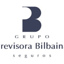 Previsora Bilbaina de Seguros. Design, Traditional illustration, and Programming project by Sergio Mansilla - 06.03.2013