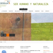 Fundación Alborada. Design, Advertising, Programming & IT project by Carlos Cano Santos - 06.26.2013