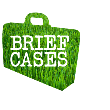 Brief Cases. Design, e Publicidade projeto de Sara Pérez - 03.07.2013
