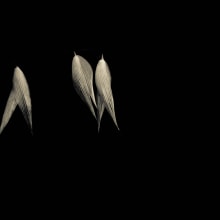 Formas de la Oscuridad. Un proyecto de Fotografía de JOSE RAMON HERNANDEZ ESCALANTE - 04.08.2013