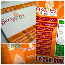 Girasoles. Design project by Tania San Nicolás - 06.23.2014