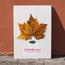 Entroido. Design project by Bombo Estudio - 08.09.2013