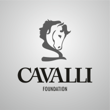 Cavalli Foundation. Design, and Traditional illustration project by Carmen Montiel Ramón - 09.03.2013