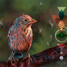 Wander Birds. Traditional illustration project by Elisa de la Torre - 09.06.2013