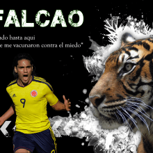 Poster Falcao. Un proyecto de Diseño de Hector Fabian Quevedo Mendez - 17.09.2013