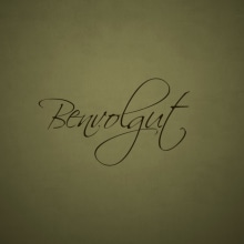 BENVOLGUT - Kinetic typography. Un proyecto de Motion Graphics, Cine, vídeo y televisión de Clara Sagarra Valls - 11.10.2013