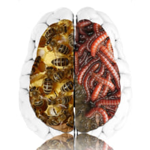 Fobias: cerebro y corazón.. Design, Ilustração tradicional, Publicidade, Motion Graphics, e UX / UI projeto de Esteban Muñoz Diezma - 11.11.2013
