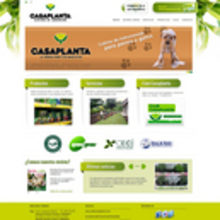 Casaplanta. Un proyecto de Diseño, Publicidad e Informática de Amalia Costas Alonso - 31.12.2011