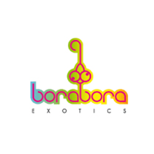 Identidad borabora exotics. Design project by Jessica Peña Moro - 11.24.2012