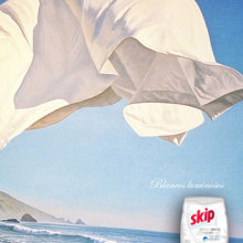 Skip Perfect White. Blancos luminosos. Advertising project by Pedro Manero Aranda - 11.28.2013