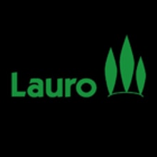 Diseño de identidad corporativa y de folletos Lauro. Un proyecto de Diseño, Publicidad y Fotografía de Victor Escribano van Hoolwerff - 05.01.2014