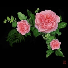 Pink Roses. Ilustração tradicional projeto de Adrian Kim - 11.01.2014