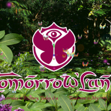 Teaser Tomorrowland 2014. Motion Graphics project by Pablo Briones - 12.16.2013